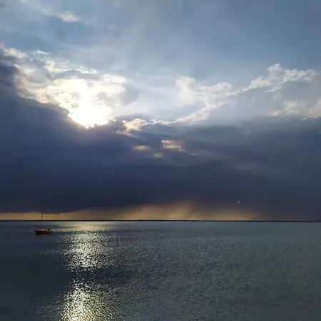 Luxury Pool House Near - By Traum *