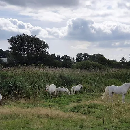 Luxury Pool House Near - By Traum *